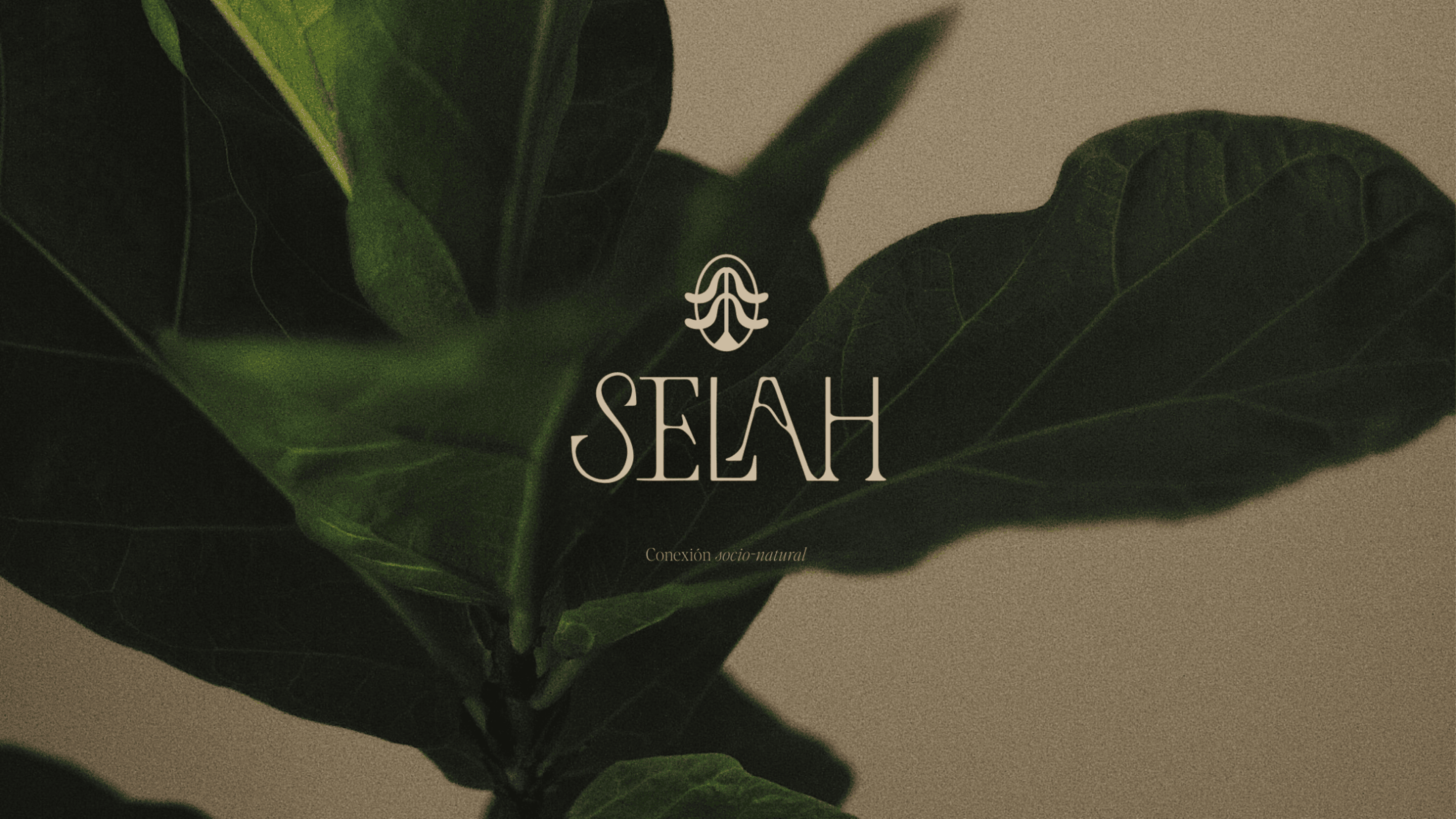 Selah